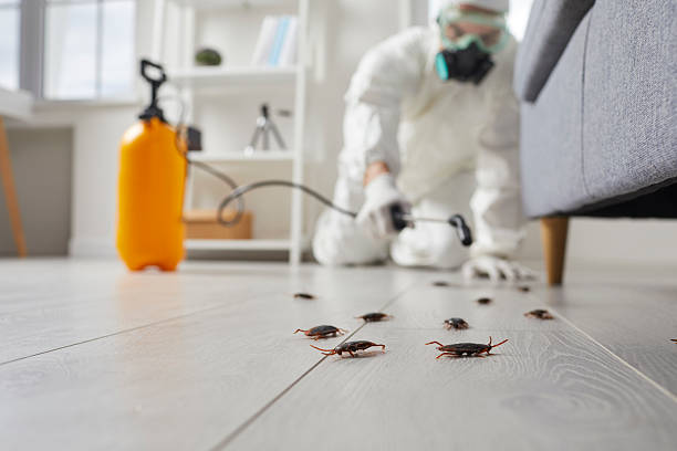 Commercial Kitchen Cockroach Control in Orinda